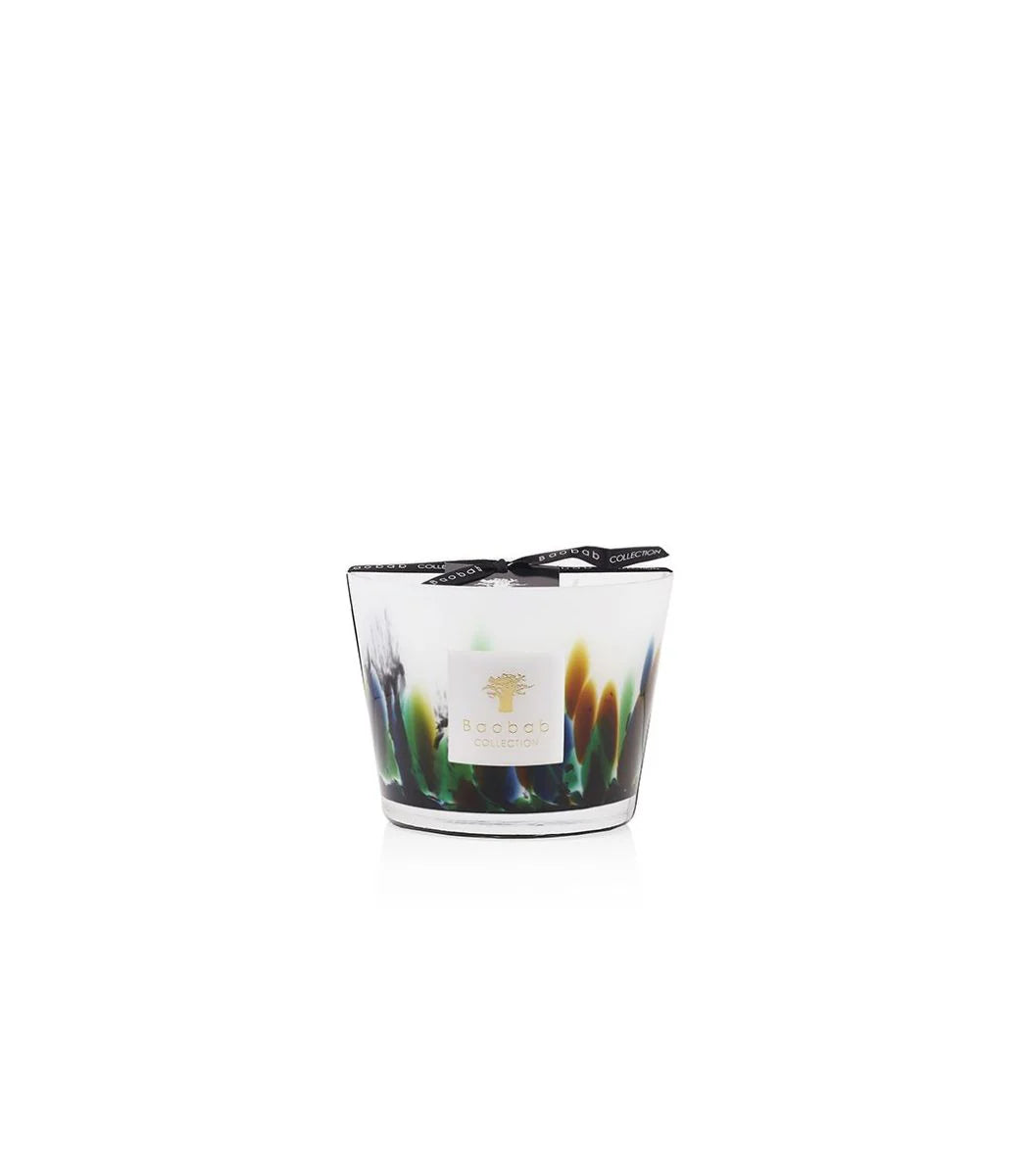 Bougie parfumée Forêt tropicale Amazonia