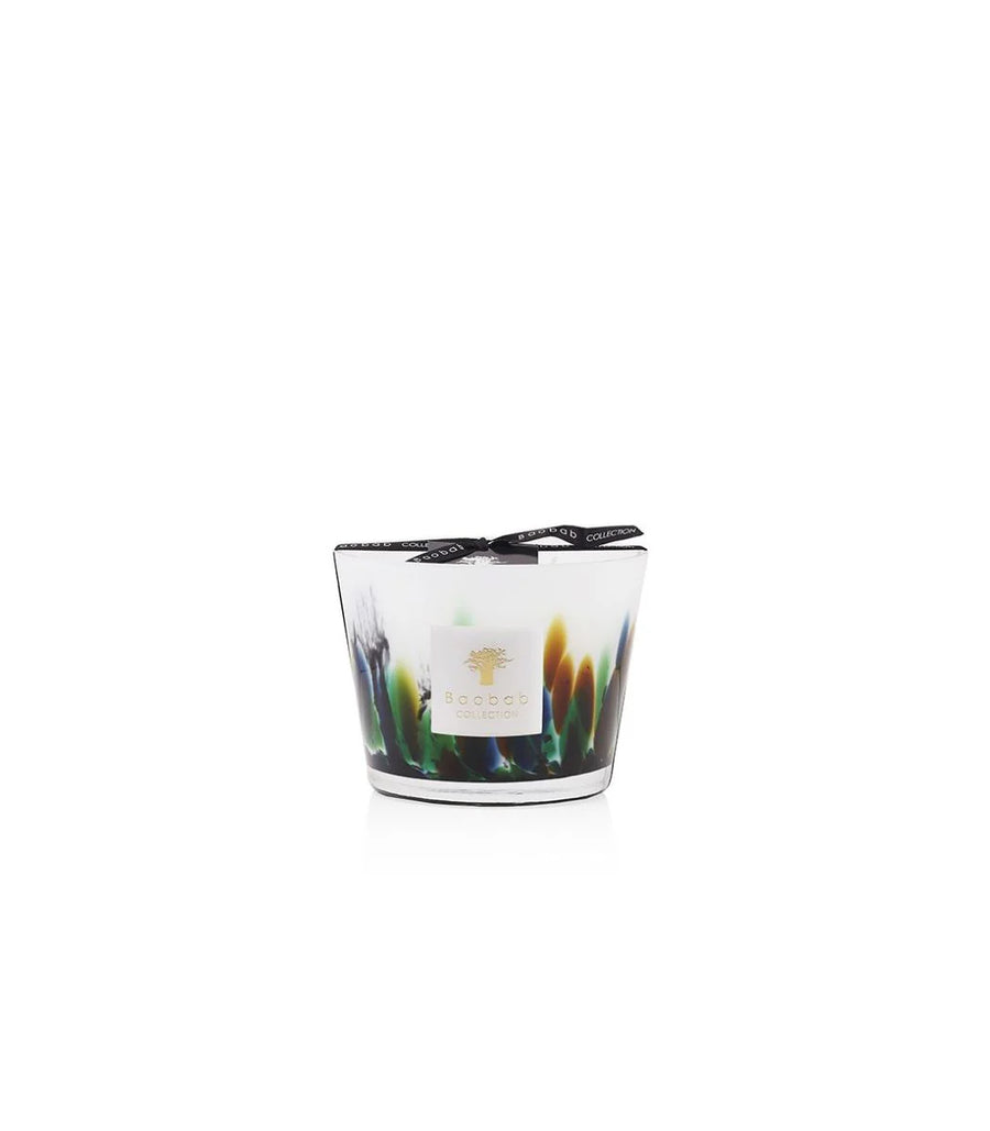 Bougie parfumée Forêt tropicale Amazonia