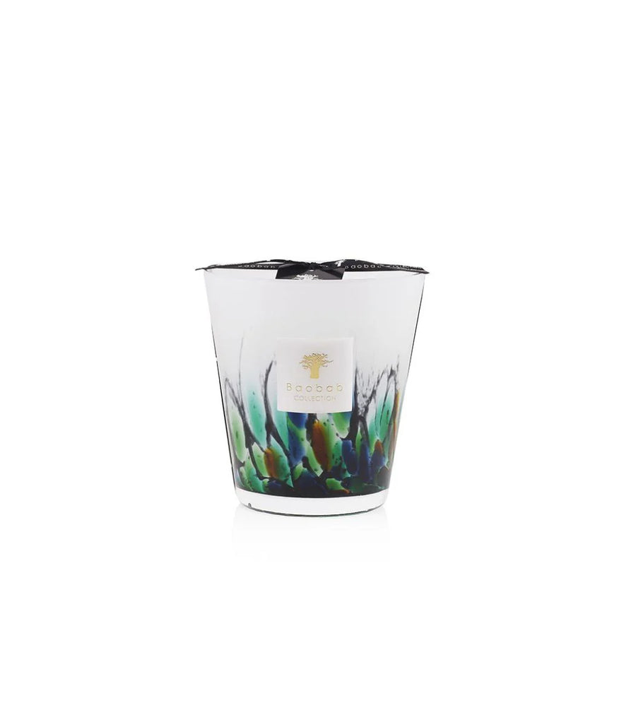 Bougie parfumée Forêt tropicale Amazonia