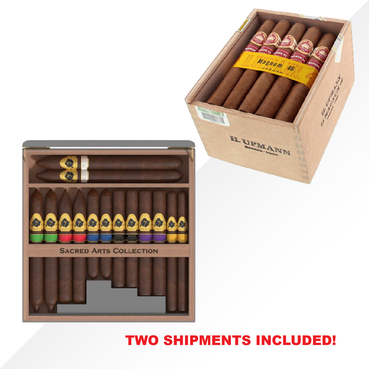 H.Upmann Magnum 46 + El Septimo Masaccio Échantillon 14 pcs