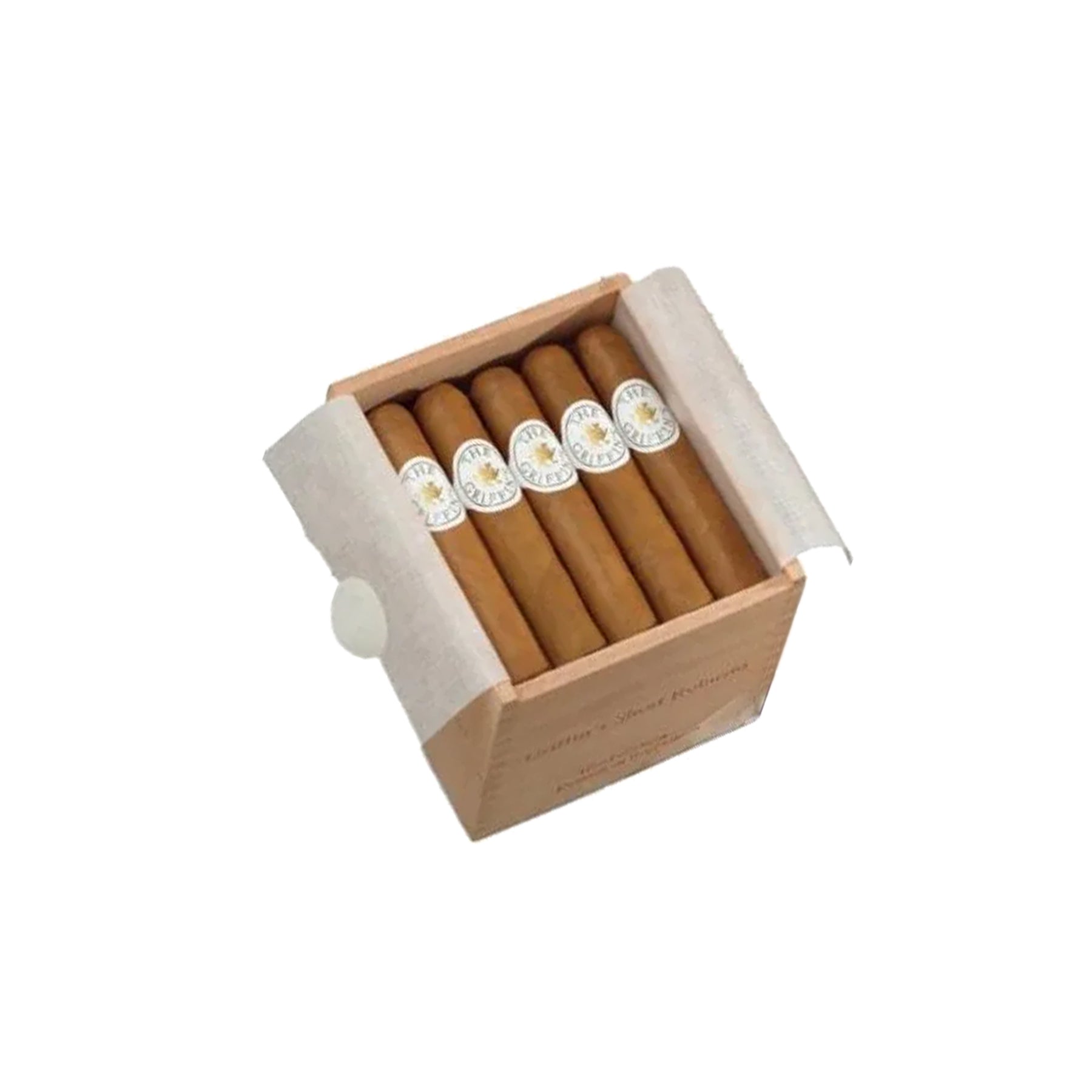 Robusto court classique